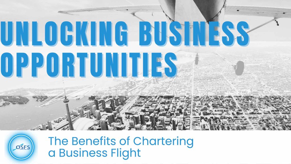 Business Opportunities, Flight, Charter, Private Plane